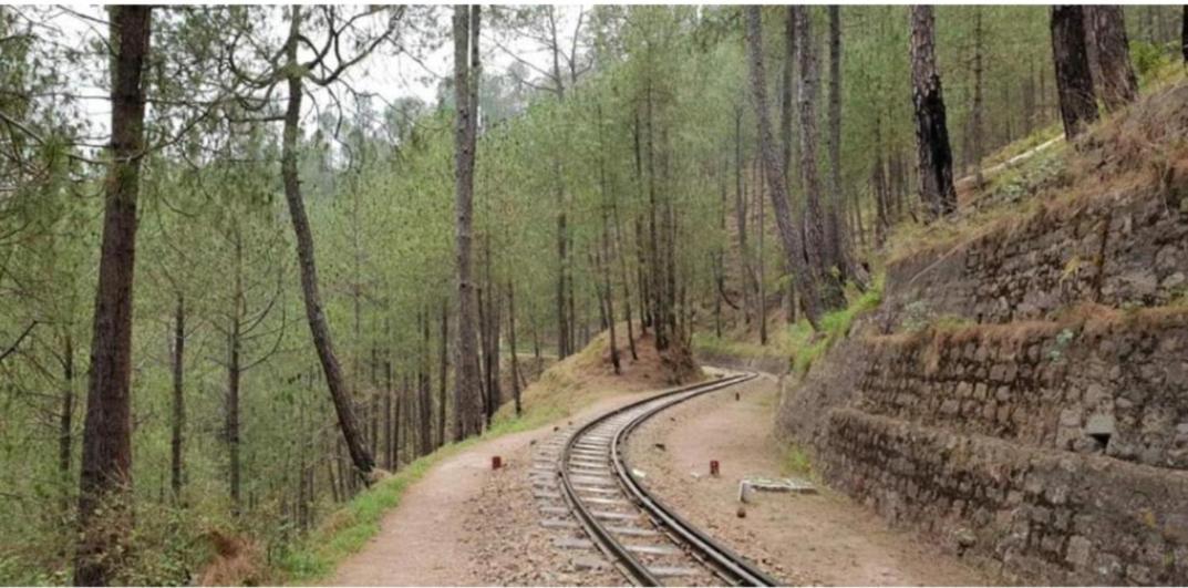 The Kasauli Western Uphills I Serviced Apartments I Pvt Balcony I Peacefull Area I By Exotic Stays Экстерьер фото